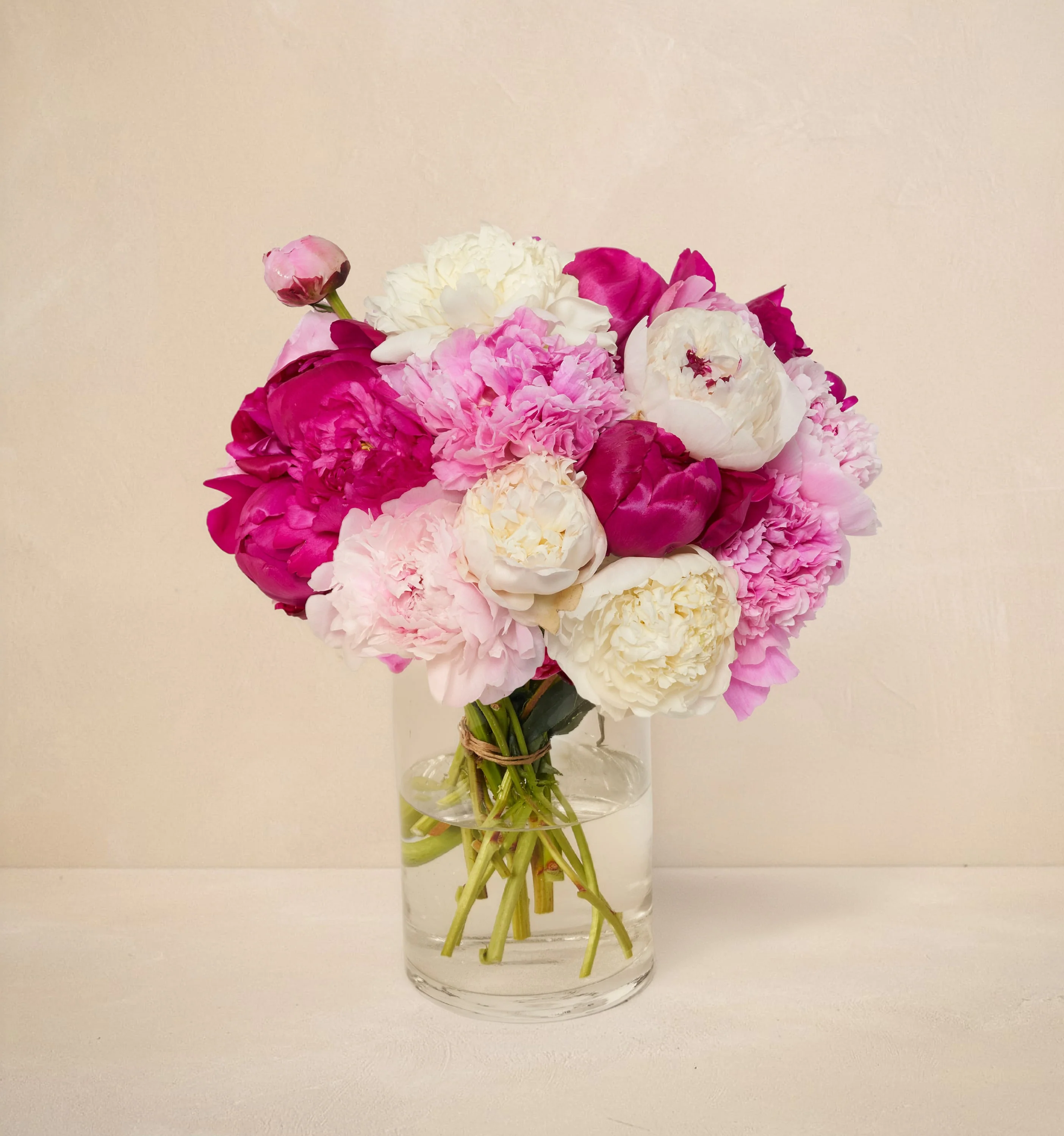 CL - The Alaskan Peony - Image 2