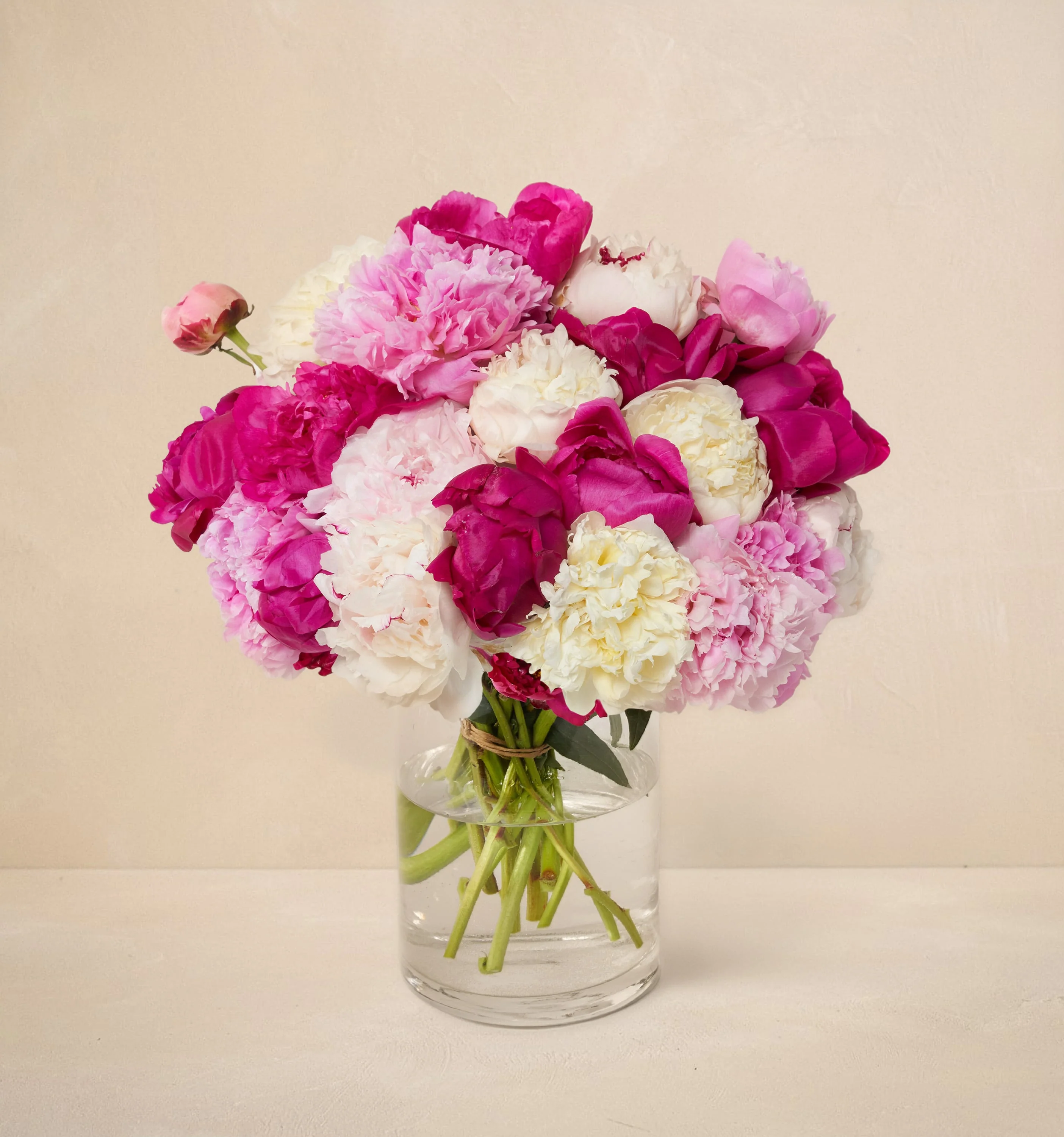 CL - The Alaskan Peony - Image 3