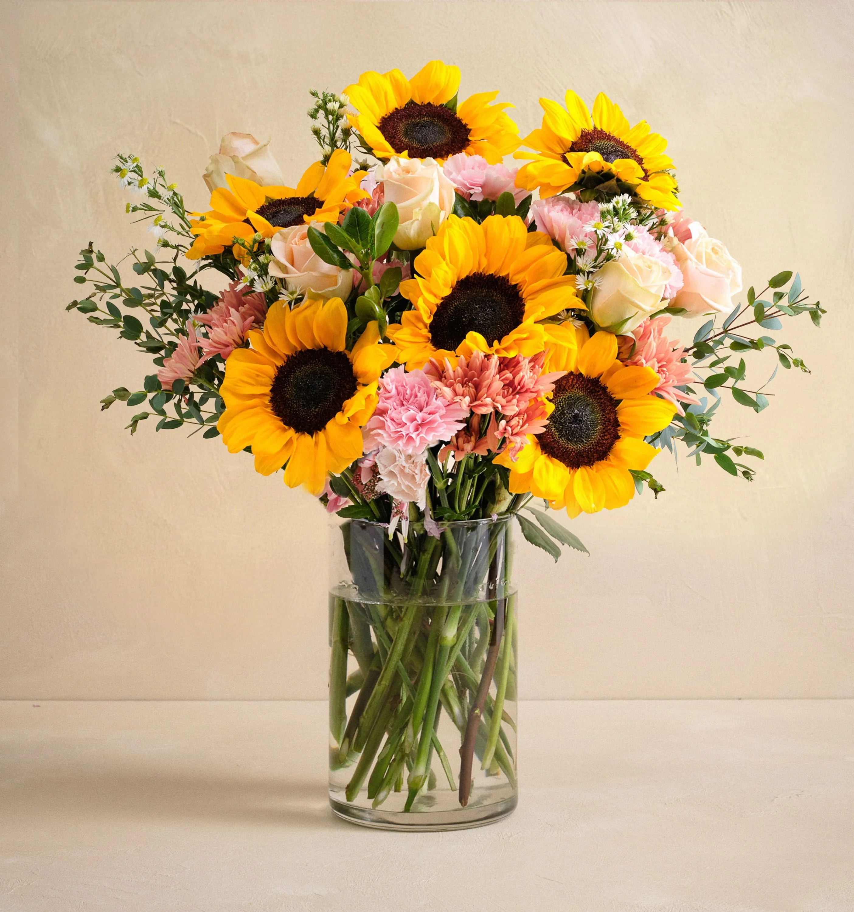 CL - The Sunflower Serenade