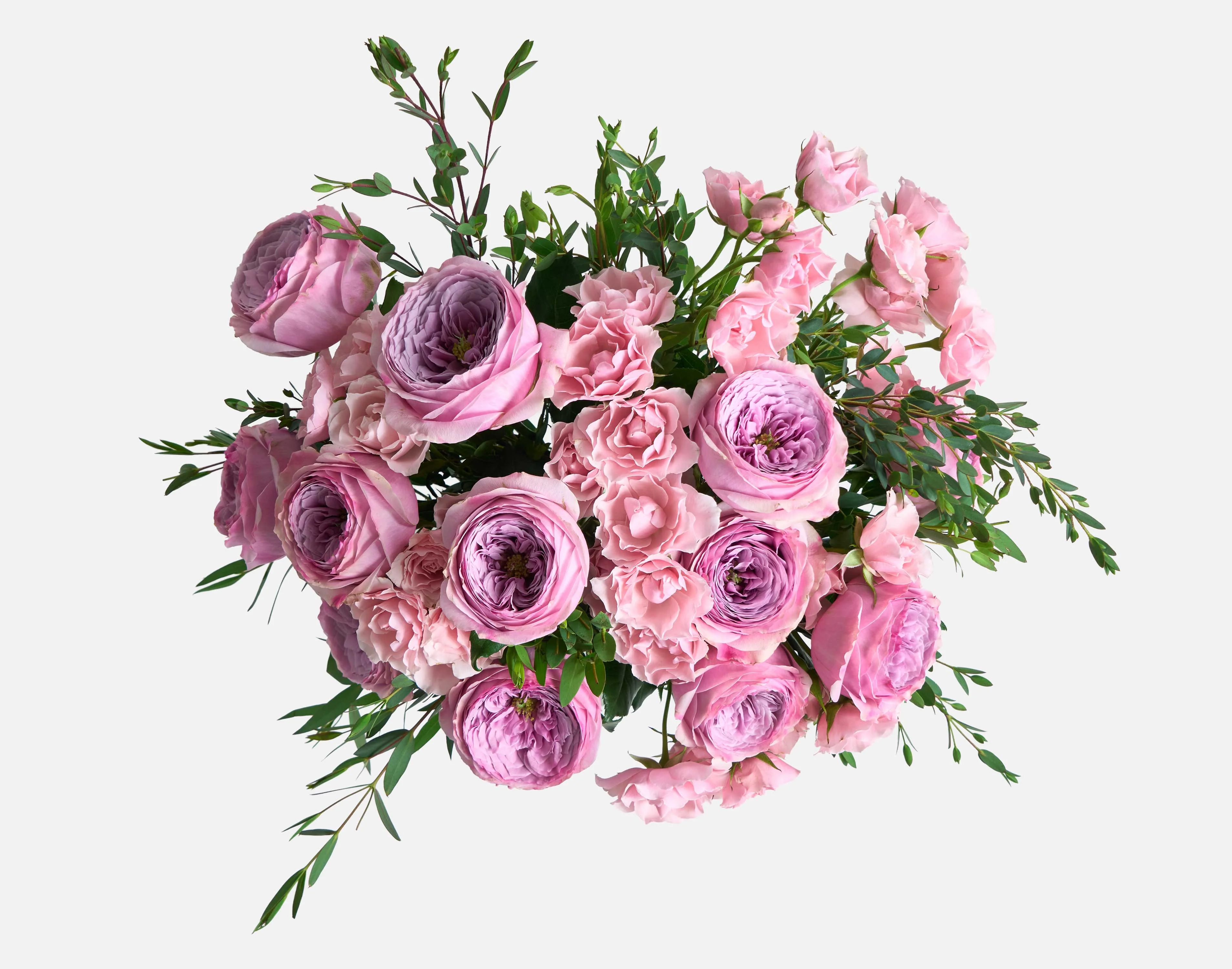 Double The Peonykiss - Image 2