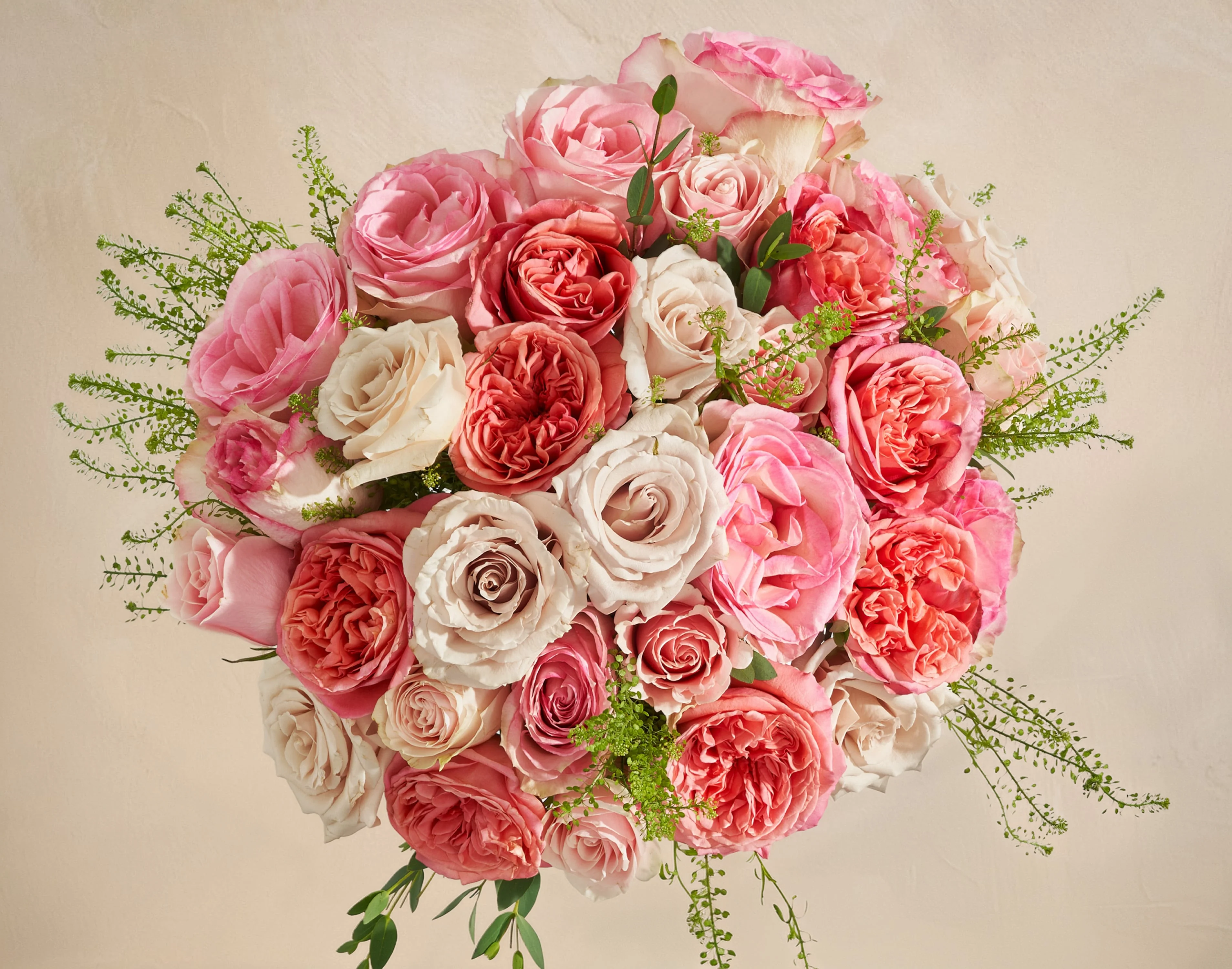 Double The Rose Garden - Image 2