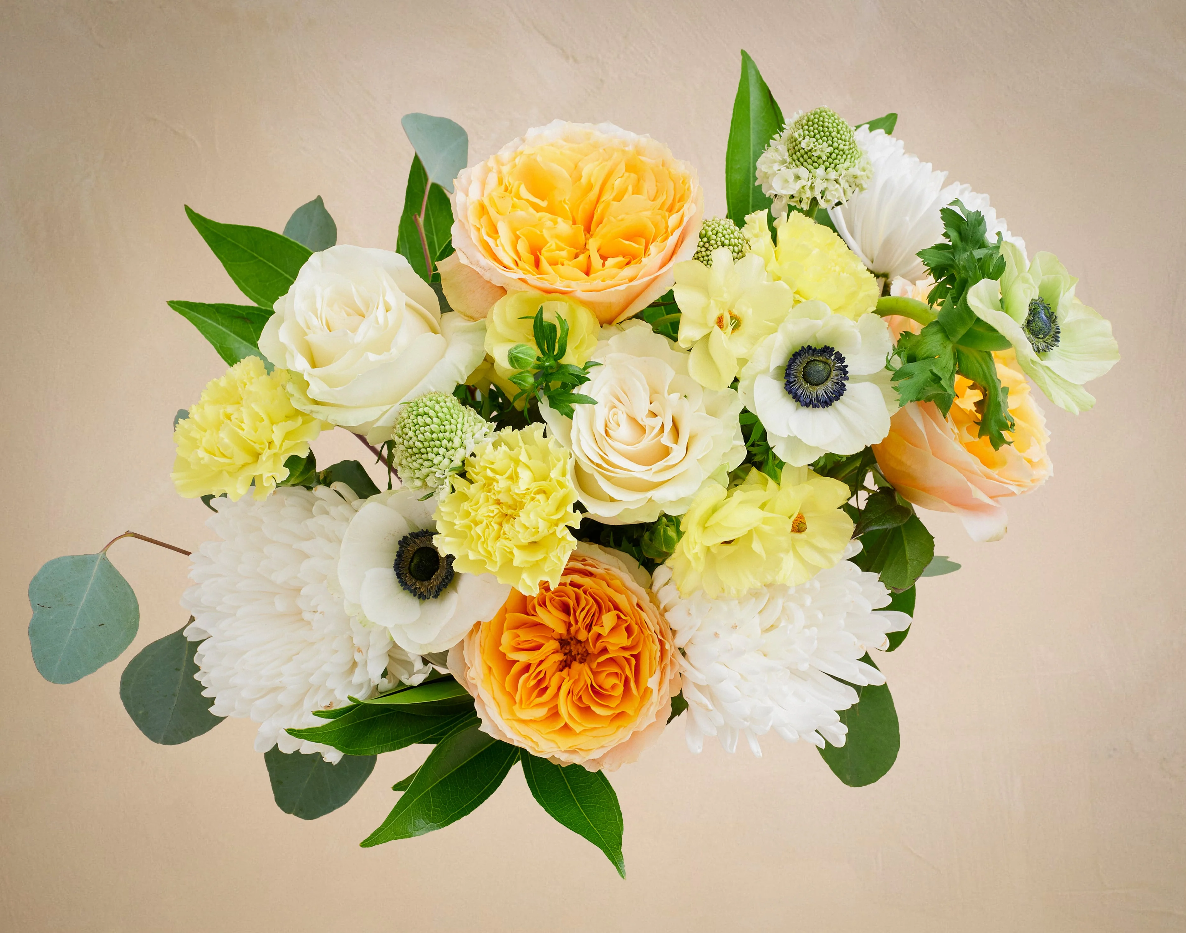 The Butter Yellow - Image 2