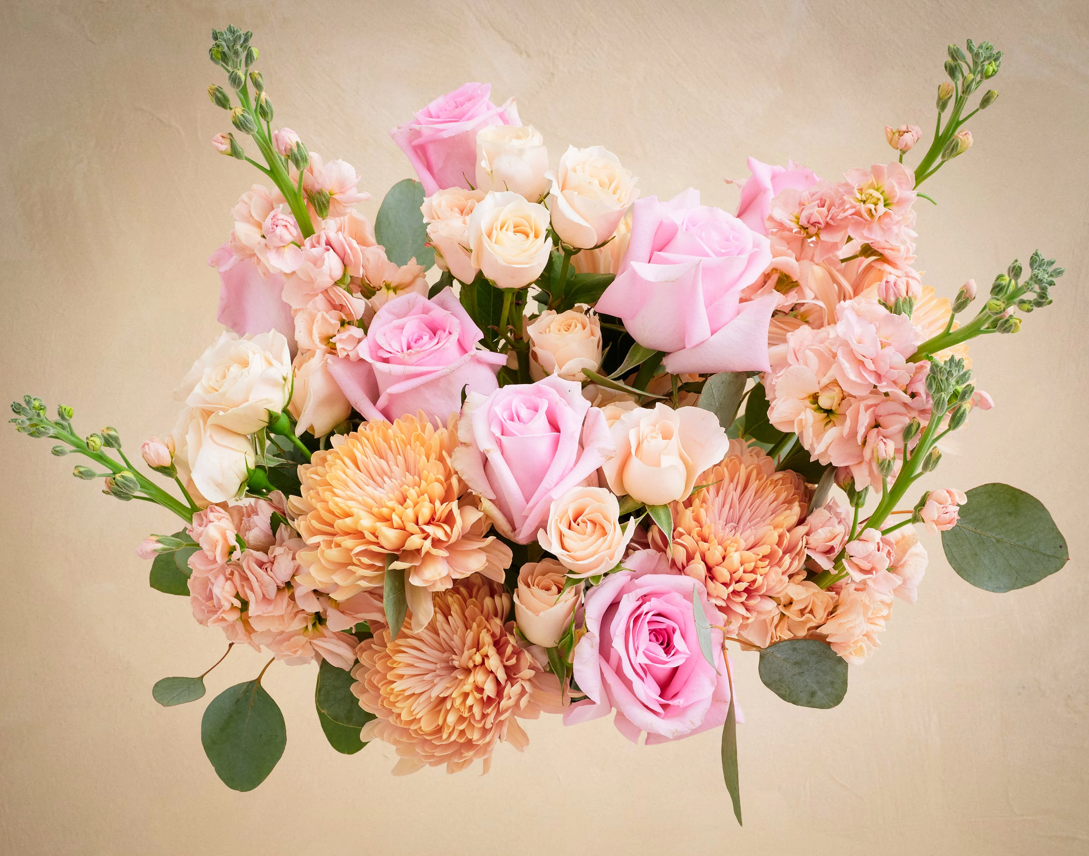 The Dusty Rose - Image 2