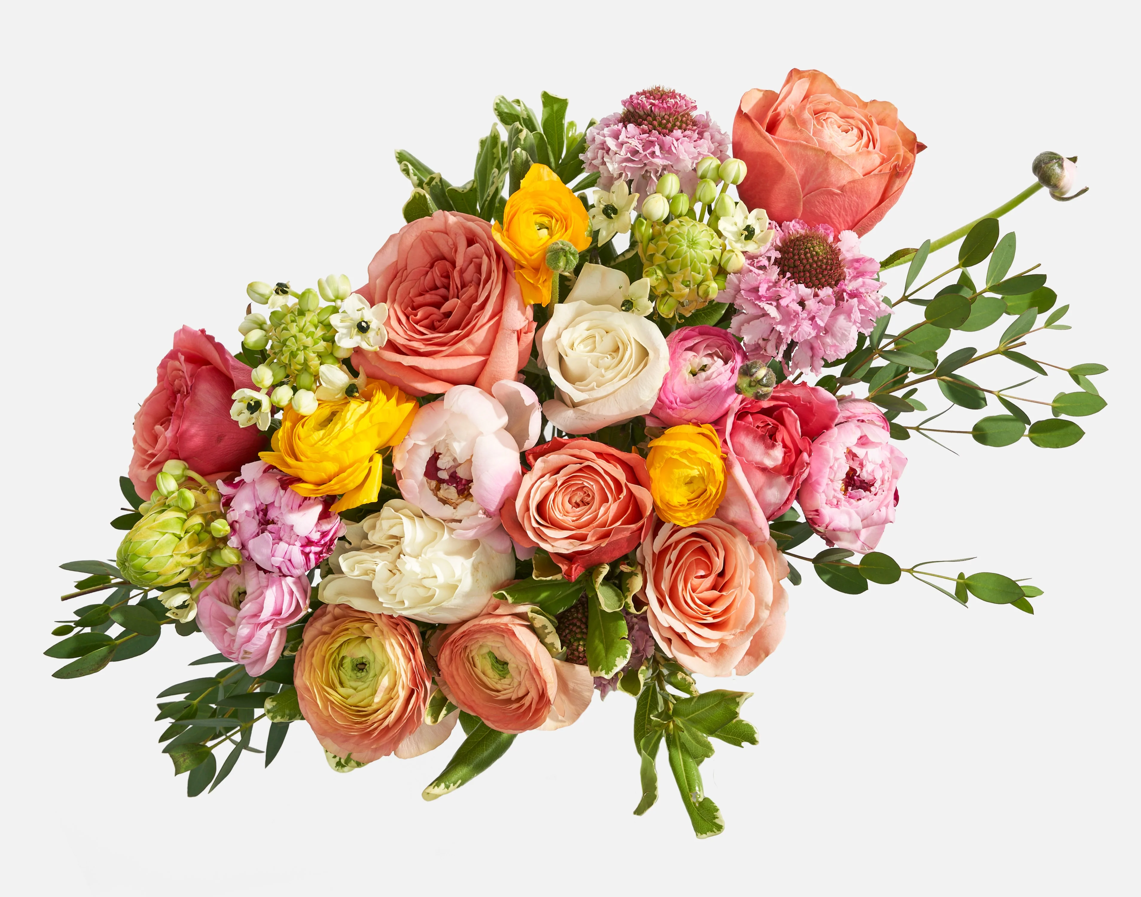 The Peony Sunrise - Image 2