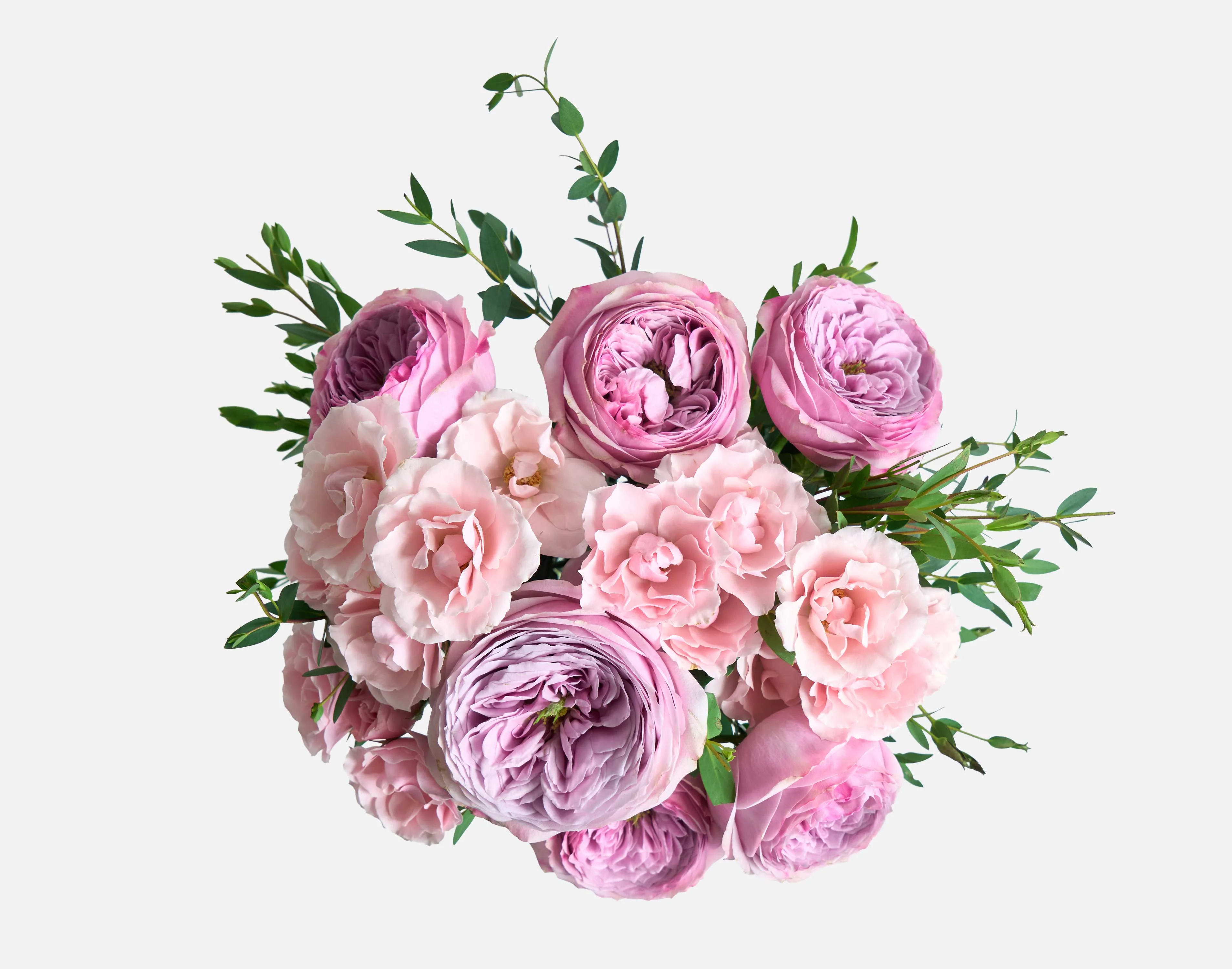 The Peonykiss - Image 2