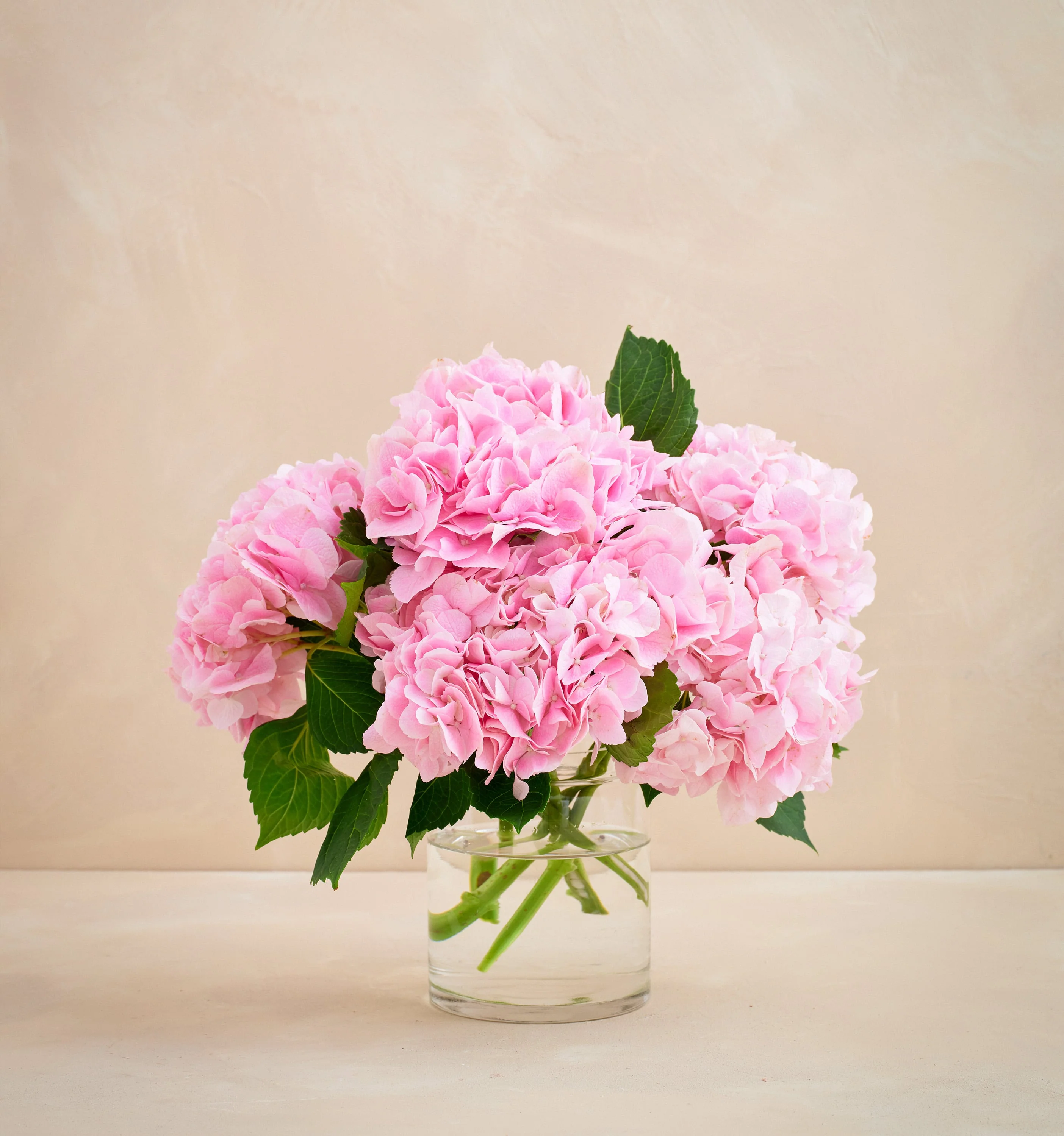 The Pink Clouds Bouquet