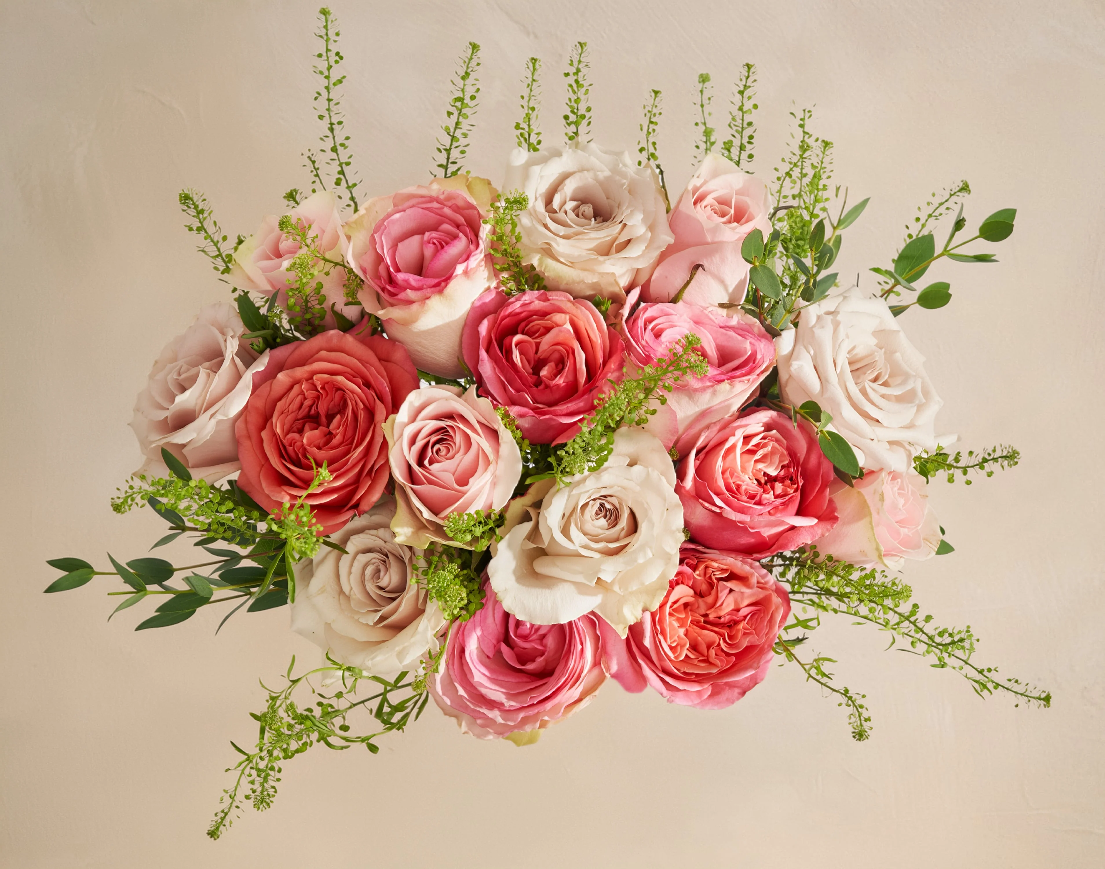 The Rose Garden - Image 2