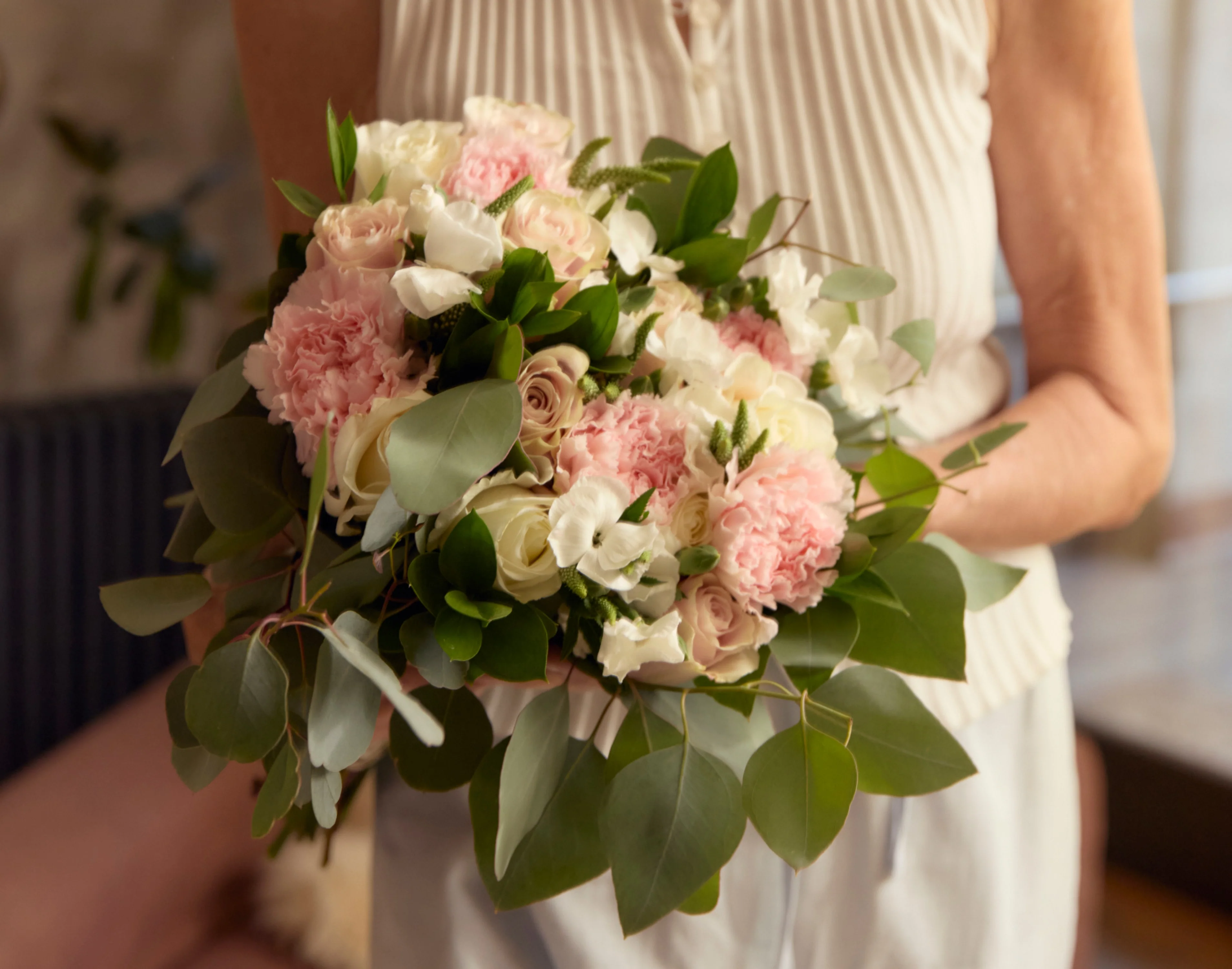 The Sorbet - Image 3